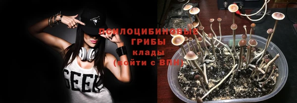 прущий лед Арсеньев