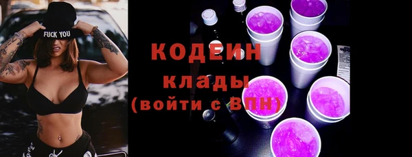 прущий лед Арсеньев