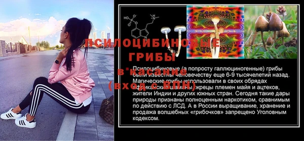 прущий лед Арсеньев
