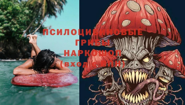 прущий лед Арсеньев
